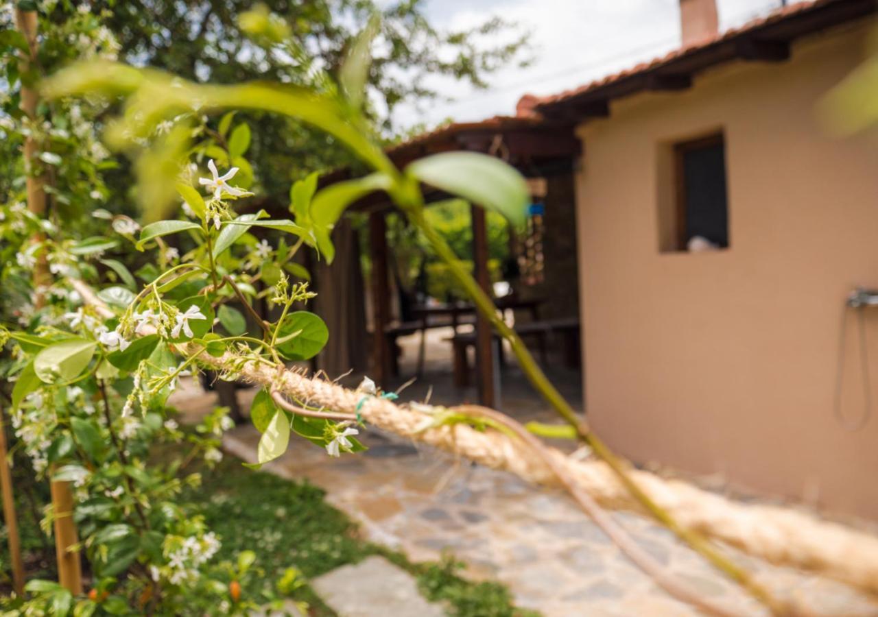 Santa Cruz Country Cottage Kallithea  Extérieur photo