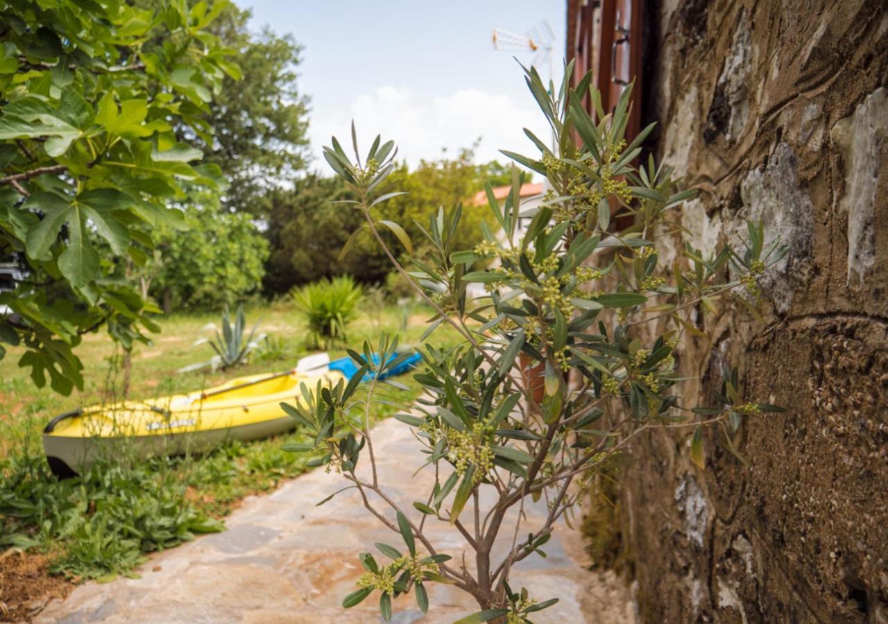 Santa Cruz Country Cottage Kallithea  Extérieur photo