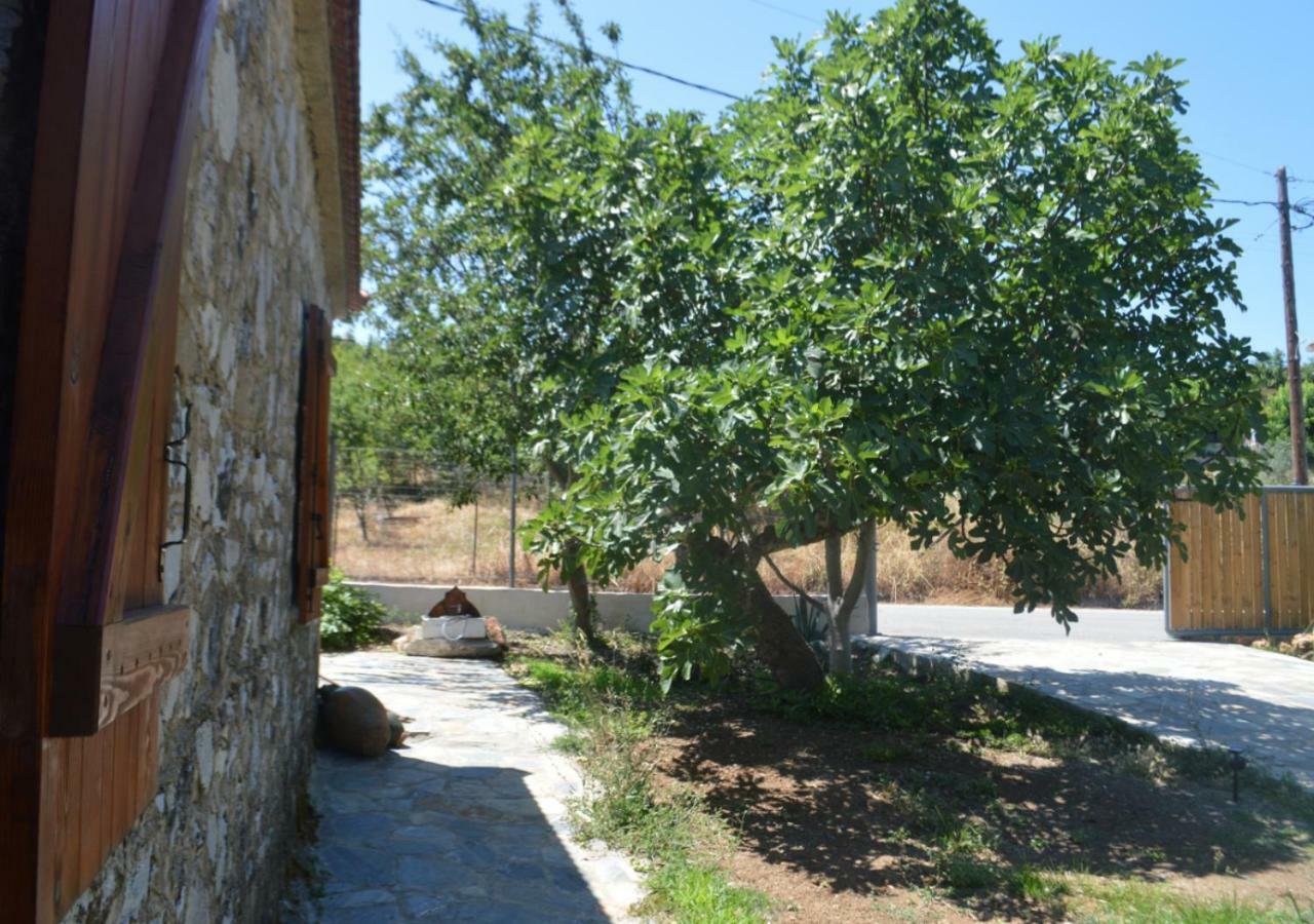 Santa Cruz Country Cottage Kallithea  Extérieur photo